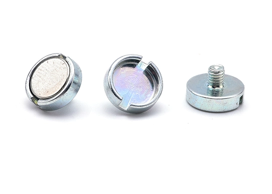 Parafuso de Fenda Magnetizado